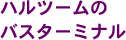 nc[̃oX^[~i